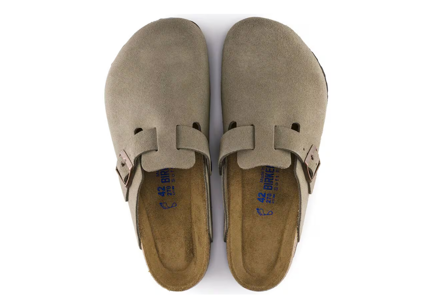 Birken Stocked