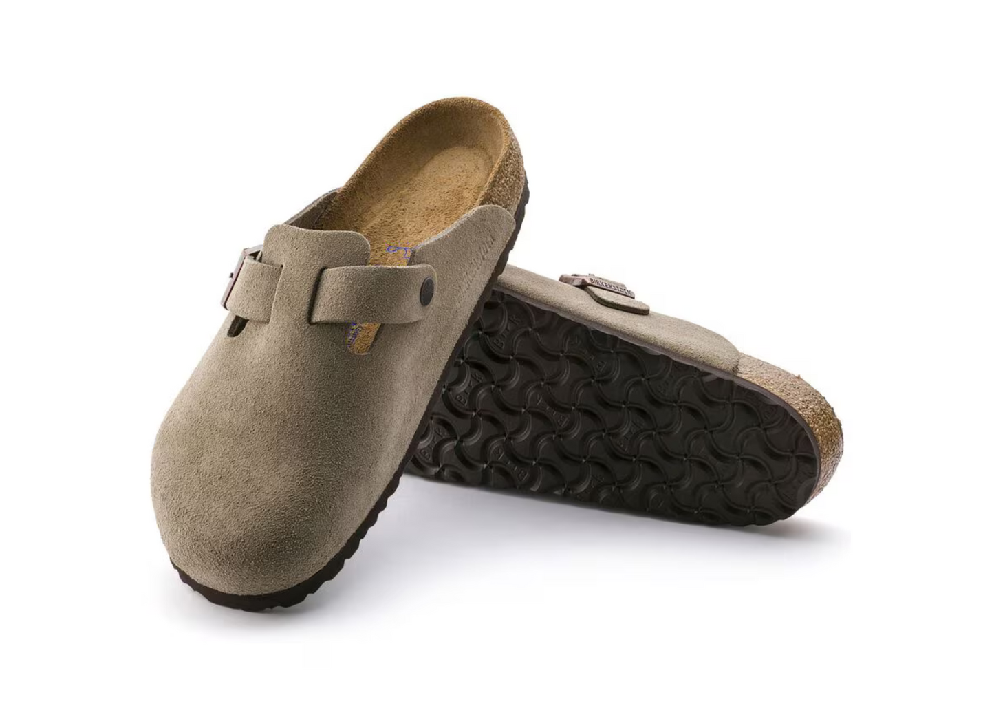 Birken Stocked